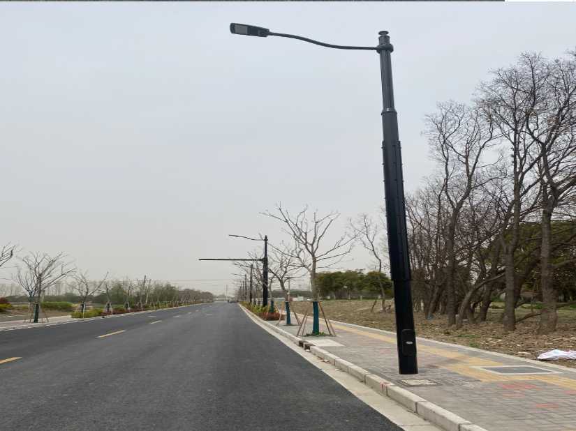 天津上海综合杆 太阳能路灯工程
